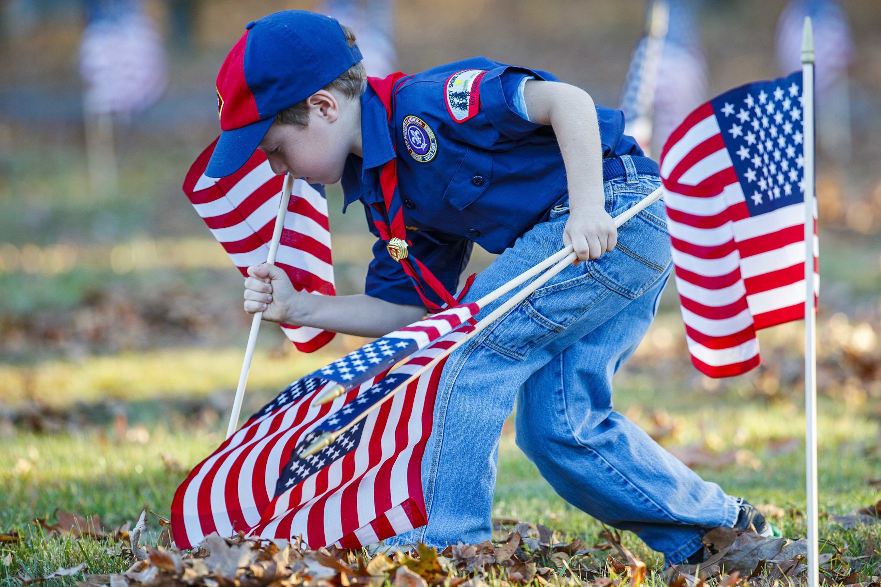 Scouts planted American Flags ahead of Veteran Day